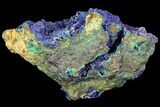 Sparkling Azurite and Malachite Crystal Cluster - Morocco #74378-1